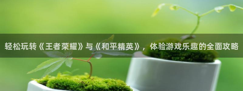 蓝冠娱乐咨询：轻松玩转《王者荣耀》与《和平精英》，体验游戏乐