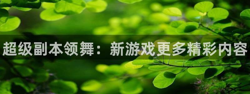 蓝冠娱乐是什么：超级副本领舞：新游戏更多精彩内容