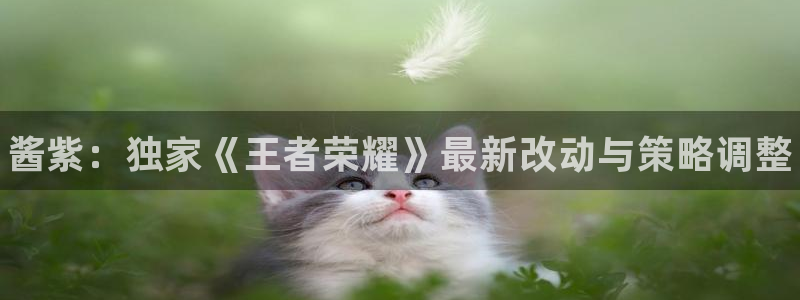 蓝冠娱乐的意思：酱紫：独家《王者荣耀》最新改动与策略调整