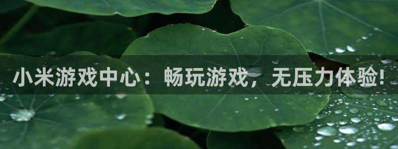 蓝冠娱乐平台官网客服电话：小米游戏中心：畅玩游戏，无压力体验