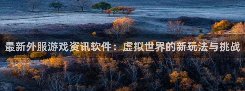 蓝冠娱乐平台官方网站：最新外服游戏资讯软件：虚拟世界的新玩法