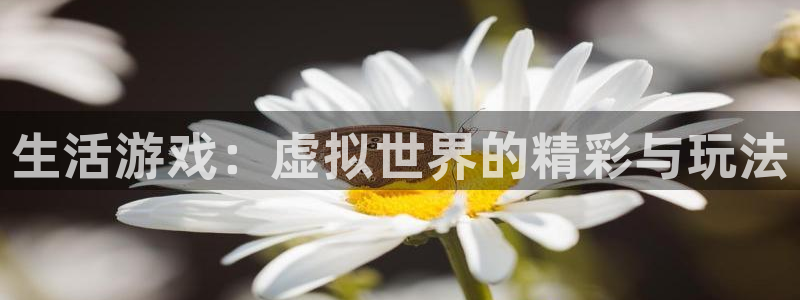 蓝冠娱乐手机网页版登录：生活游戏：虚拟世界的精彩与玩法