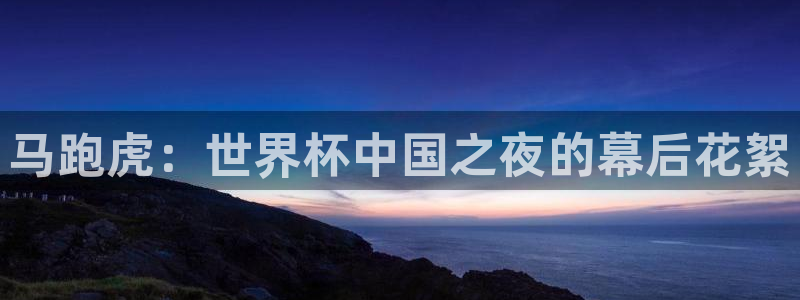 绿茵直播足球：马跑虎：世界杯中国之夜的幕后花絮