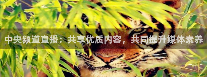 9939绿茵直播体育：中央频道直播：共享优质内容，共同提升媒体素养