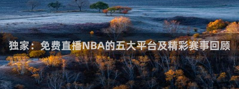 绿茵体育免费直播入口：独家：免费直播NBA的五大平台及精彩赛事回顾