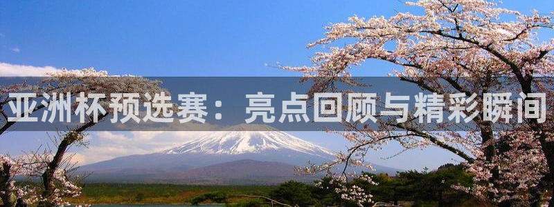 绿茵足球直播免费观看：亚洲杯预选赛：亮点回顾与精彩瞬间