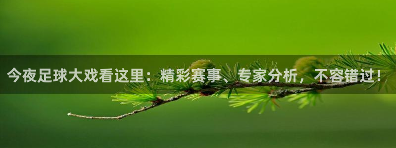 绿茵直播体育免费直播：今夜足球大戏看这里：精彩赛事、专家分析，不容错过！