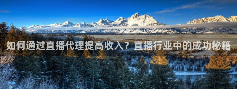 绿茵体育在线观看：如何通过直播代理提高收入？直播行业中的成功秘籍