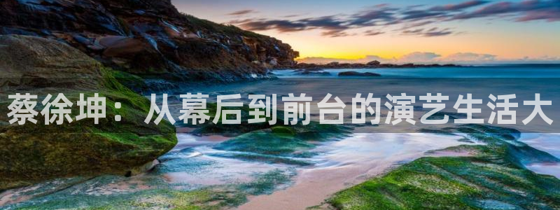 绿茵直播体育在线观看免费视频：蔡徐坤：从幕后到前台的演艺生活大