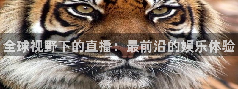 绿茵直播球赛在线观看：全球视野下的直播：最前沿的娱乐体验