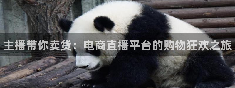 绿茵足球直播间：主播带你卖货：电商直播平台的购物狂欢之旅